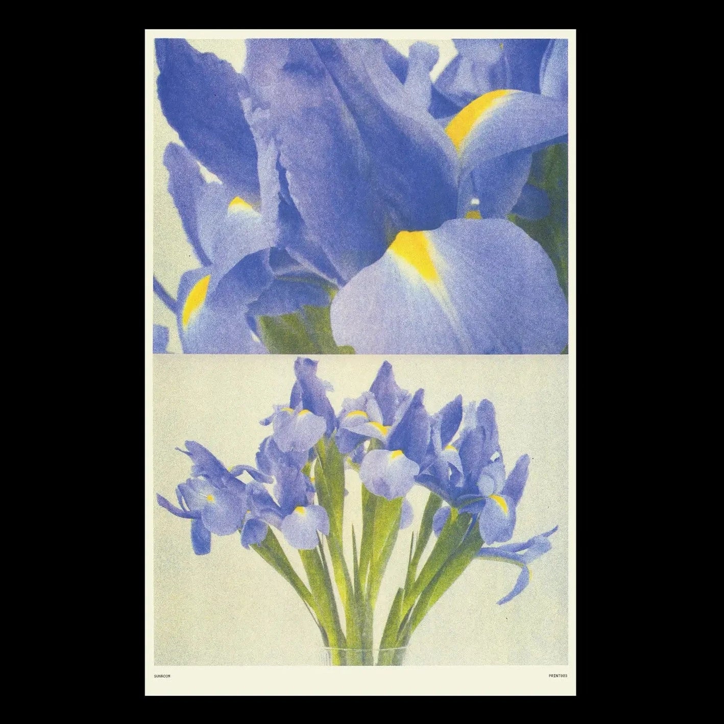 Iris | Risograph Print