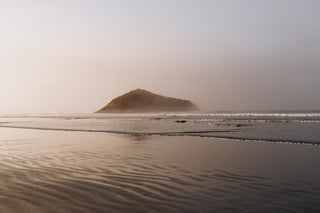 Our 2019 Tofino Wellness Guide