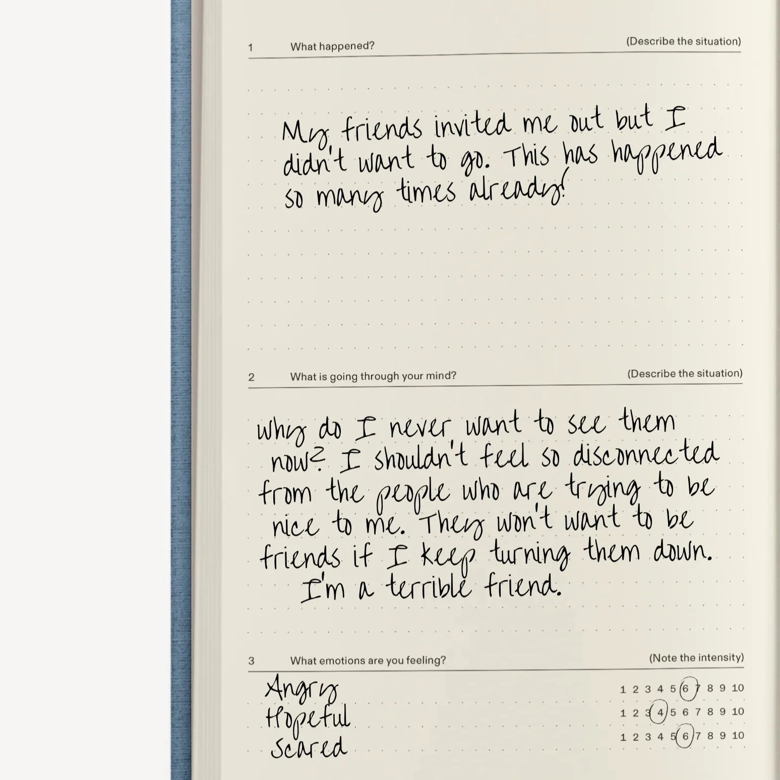 the anti-anxiety notebook – same same