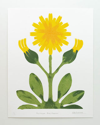 Hawkweed Print by Annika McFarlane