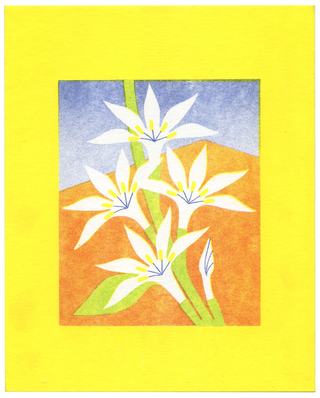 Fleur de café | Print