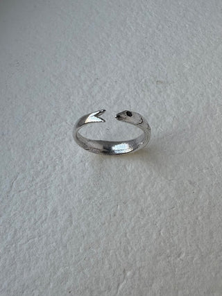 Fish Ring