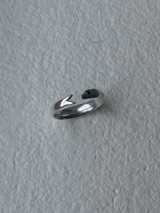 Fish Ring