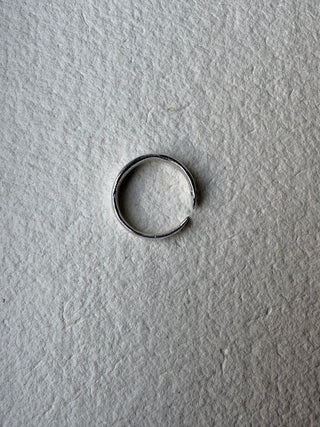 Fish Ring