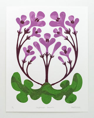Primrose Print by Annika McFarlane