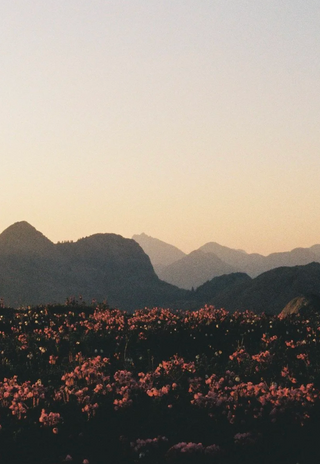 Goodnight Nootka Sound Print