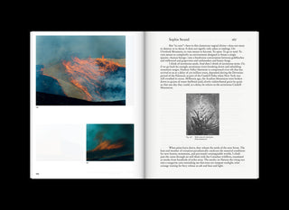 Emergence Magazine Volume 7: Seeds and Structures